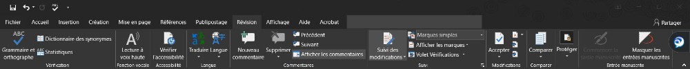 Capture d'écran de l'onglet Révision du logiciel Word