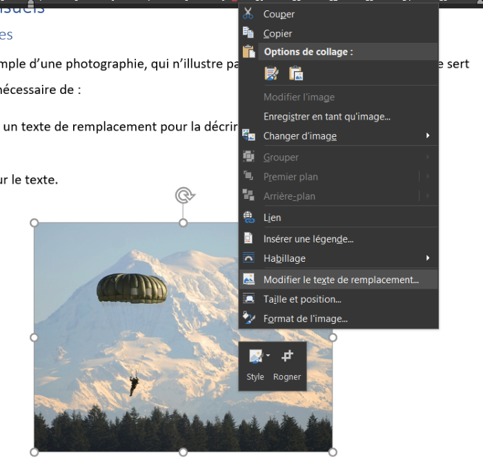 Capture d'écran du menu contextuel d'une image dans le logiciel Word